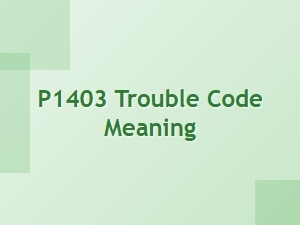 P1403 Error Causes and Meaning